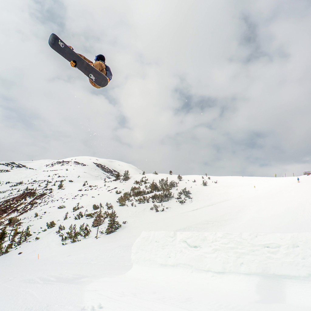 Bataleon Evil Twin +