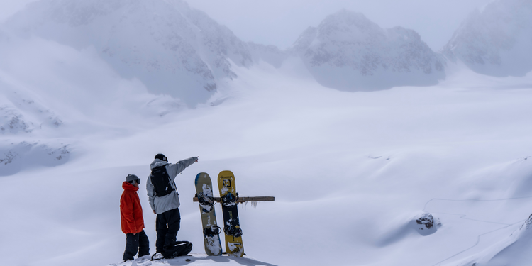 ყველა პროდუქტი