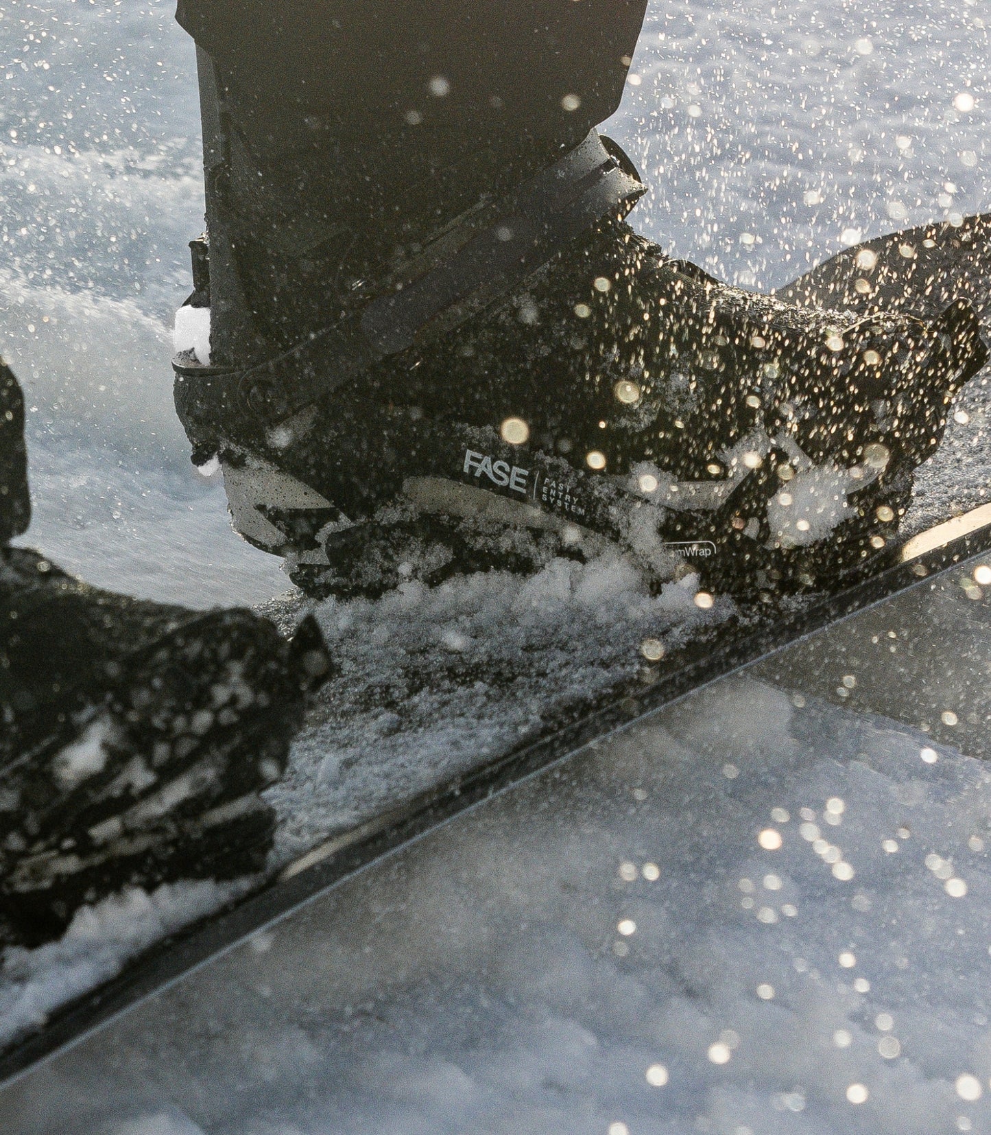 Bataleon - Blaster AW FASE Black