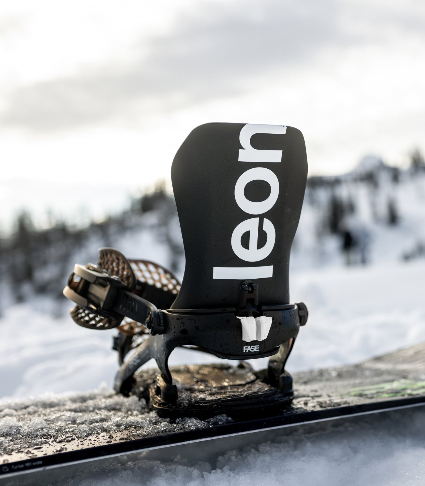 Bataleon - Blaster AW FASE Black